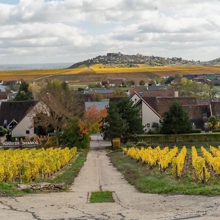 Gite Des Vignes Villa Verdigny Exterior photo