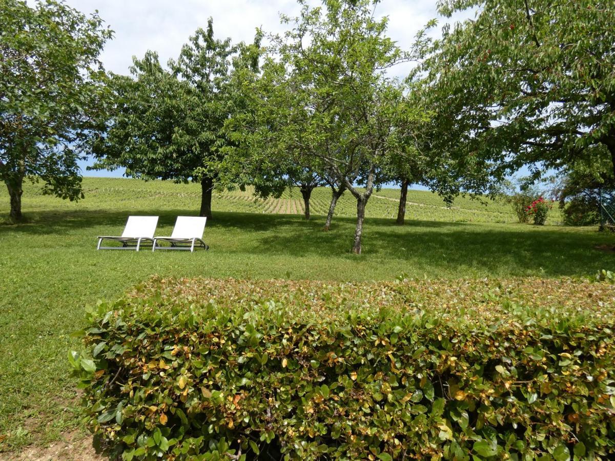 Gite Des Vignes Villa Verdigny Exterior photo