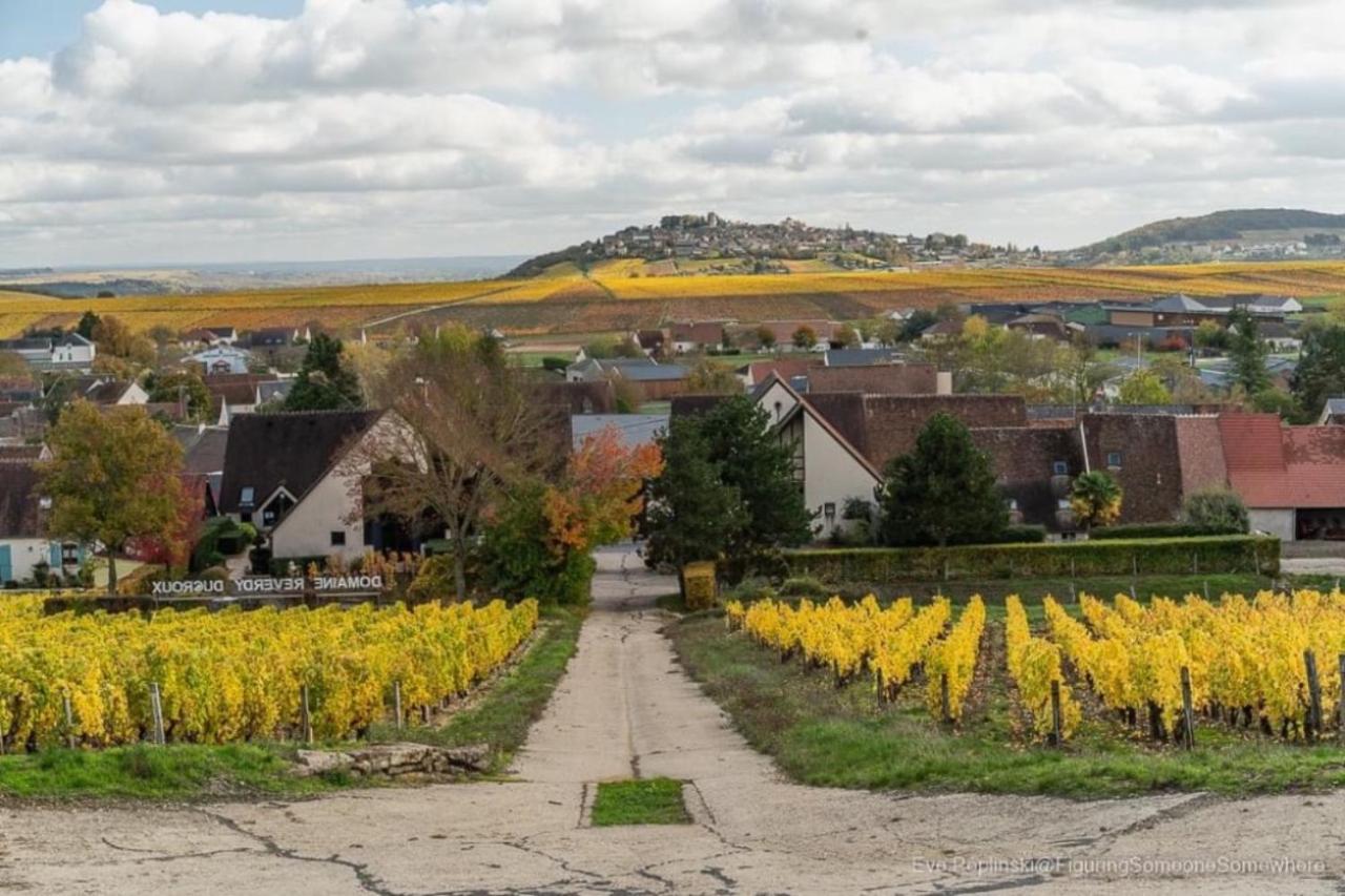 Gite Des Vignes Villa Verdigny Exterior photo