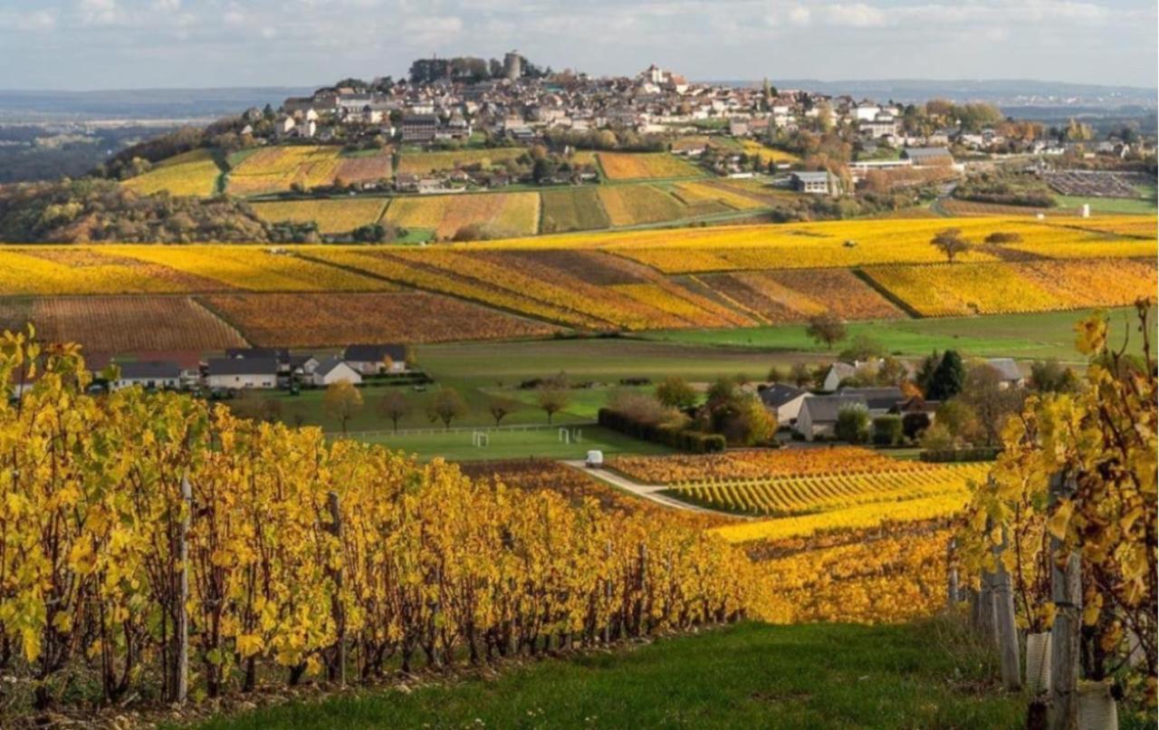 Gite Des Vignes Villa Verdigny Exterior photo