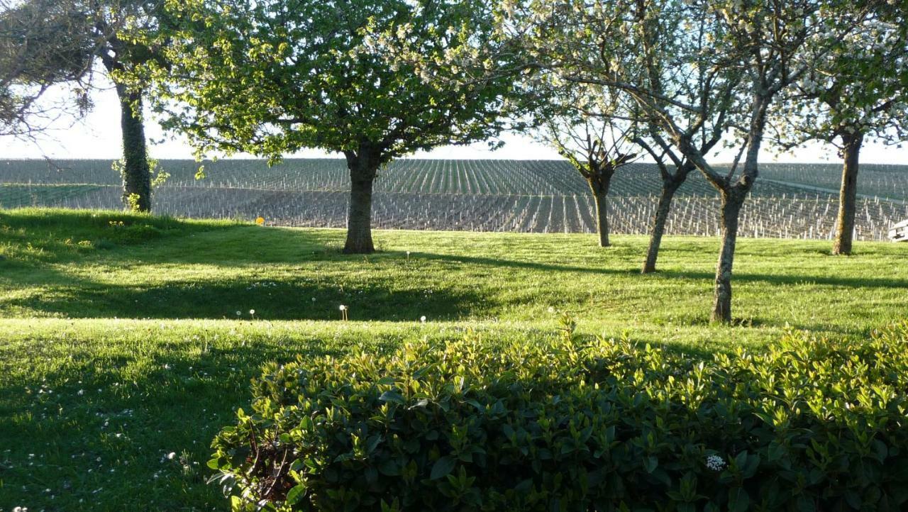 Gite Des Vignes Villa Verdigny Exterior photo