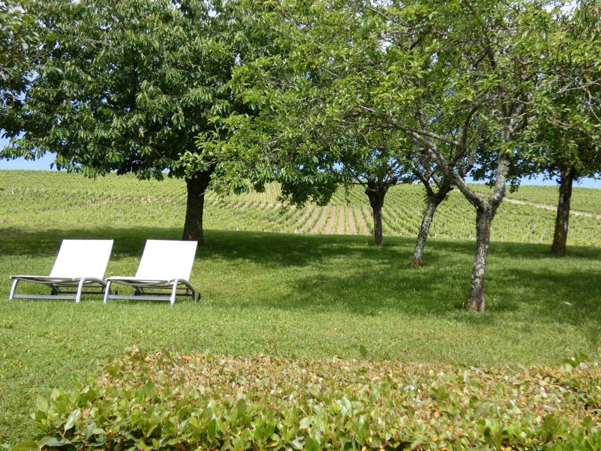 Gite Des Vignes Villa Verdigny Exterior photo